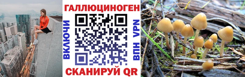 Псилоцибиновые грибы ЛСД  Петрозаводск 