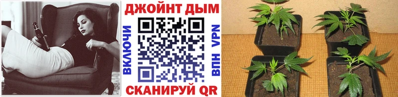 Каннабис конопля  Петрозаводск 